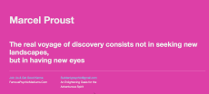 PROUST QUOTE
