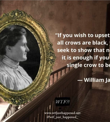11 Tips to Find a Genuine Psychic Medium(From WTF Just Happened)